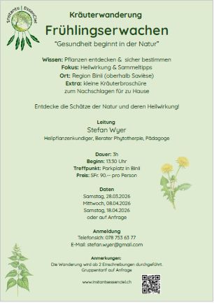 202602 flyer wand fruehl de