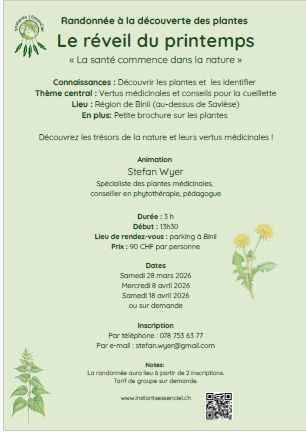 202602 flyer wand fruehl fr